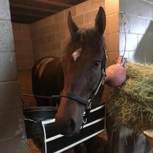 Meet your Posher, Sandra grace